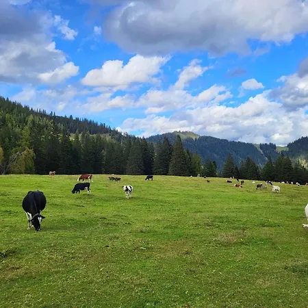 Appartement Top Appartements *