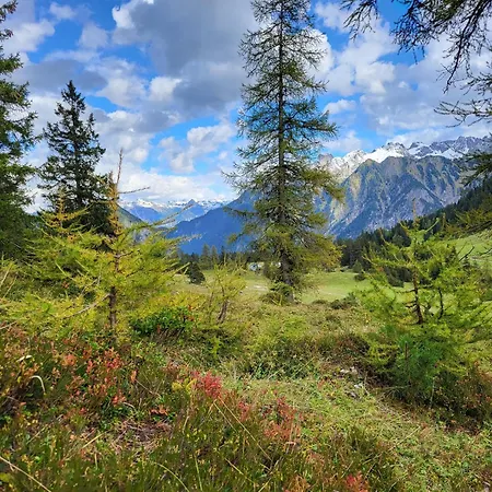 Top Appartements Brand (Vorarlberg)