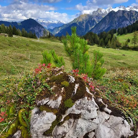 Appartement Top Appartements Brand (Vorarlberg)