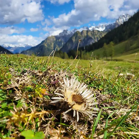 Top Appartements Appartement