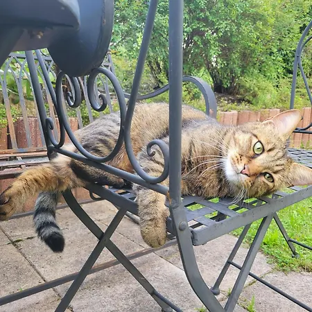 Appartement Top Appartements